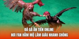 Đá Gà Ăn Tiền Online - Nơi Fan Hâm Mộ Làm Giàu Nhanh Chóng