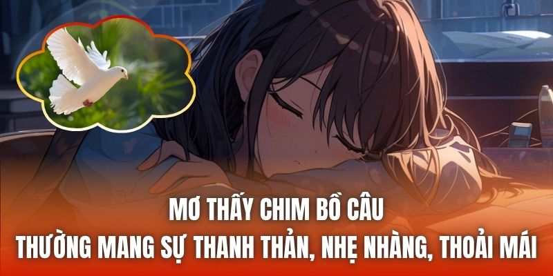 Mơ thấy chim bồ câu thường mang sự thanh thản, nhẹ nhàng, thoải mái