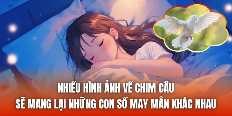 Nhiều hình ảnh về chim câu sẽ mang lại những con số may mắn khác nhau