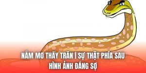 Nằm Mơ Thấy Trăn | Sự Thật Phía Sau Hình Ảnh Đáng Sợ