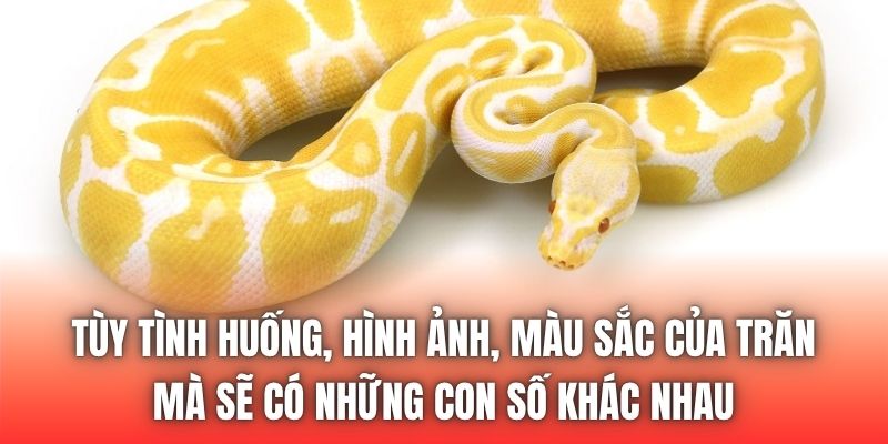 Tùy tình huống, hình ảnh, màu sắc của trăn mà sẽ có những con số khác nhau